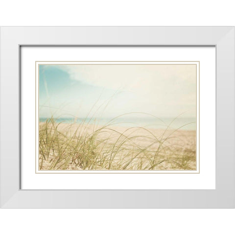 Beach Grass V Light White Modern Wood Framed Art Print with Double Matting by Urquhart, Elizabeth