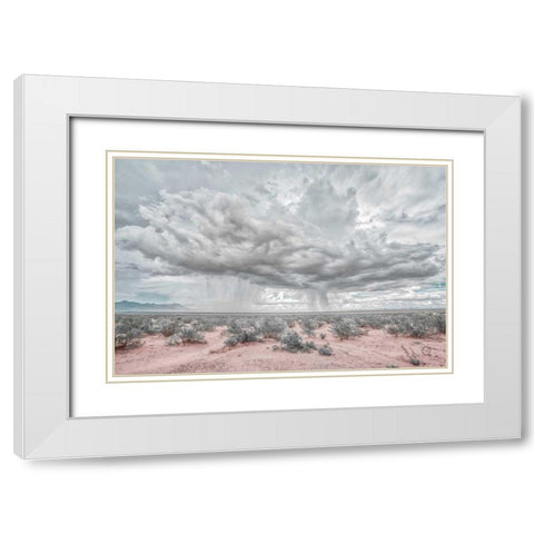 New Mexico Rain White Modern Wood Framed Art Print with Double Matting by Larson, Nathan