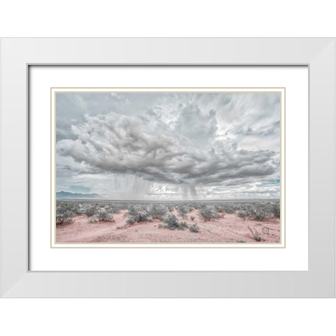 New Mexico Rain White Modern Wood Framed Art Print with Double Matting by Larson, Nathan
