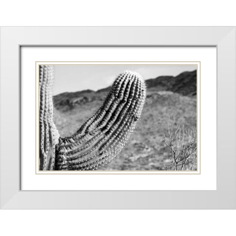 Saguaro White Modern Wood Framed Art Print with Double Matting by Larson, Nathan