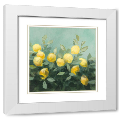 Lemon Grove II White Modern Wood Framed Art Print with Double Matting by Purinton, Julia