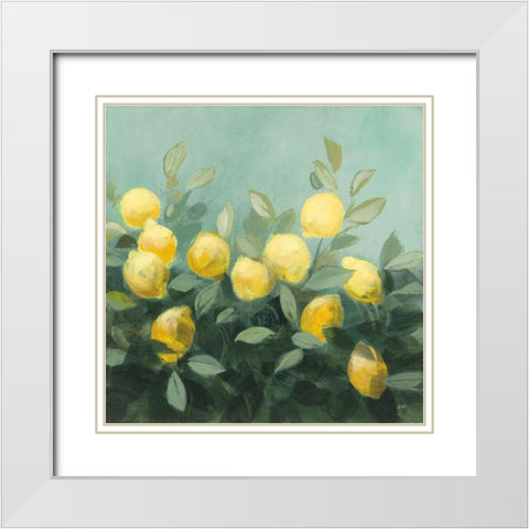 Lemon Grove II White Modern Wood Framed Art Print with Double Matting by Purinton, Julia