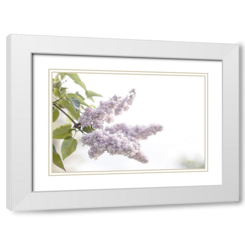 Pale Lilacs I White Modern Wood Framed Art Print with Double Matting by Schlabach, Sue