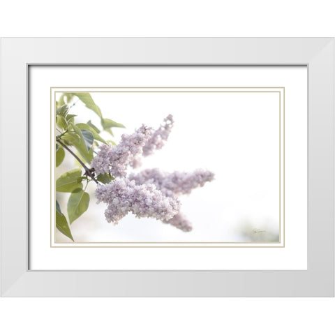 Pale Lilacs I White Modern Wood Framed Art Print with Double Matting by Schlabach, Sue