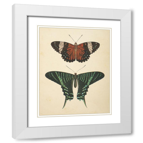 Papillons I White Modern Wood Framed Art Print with Double Matting by Wild Apple Portfolio