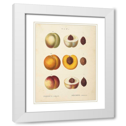 Peaches I White Modern Wood Framed Art Print with Double Matting by Wild Apple Portfolio