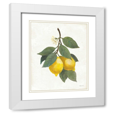 Lemon Branch II White Modern Wood Framed Art Print with Double Matting by Hristova, Albena