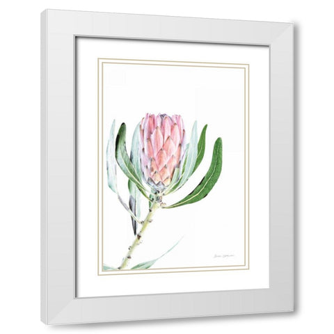 Dreamy Protea II Oasis White Modern Wood Framed Art Print with Double Matting by Catterall, Elise
