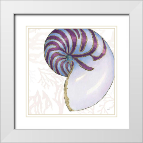 Shimmering Shells VI White Modern Wood Framed Art Print with Double Matting by Wiens, James