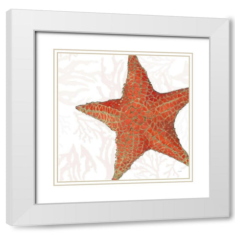 Shimmering Shells XIII White Modern Wood Framed Art Print with Double Matting by Wiens, James
