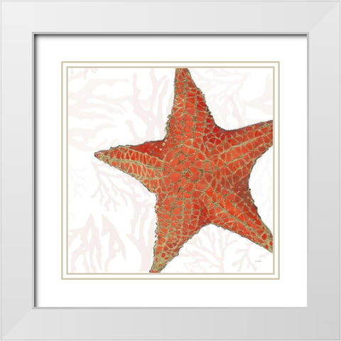 Shimmering Shells XIII White Modern Wood Framed Art Print with Double Matting by Wiens, James