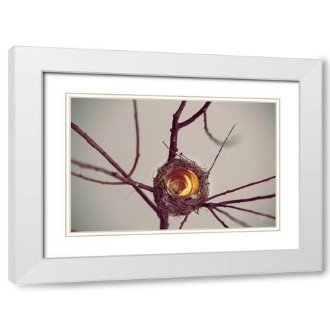 What is Golden White Modern Wood Framed Art Print with Double Matting by Larson, Nathan