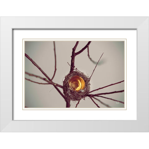 What is Golden White Modern Wood Framed Art Print with Double Matting by Larson, Nathan