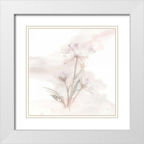 Queen Annes Lace IV White Modern Wood Framed Art Print with Double Matting by Paschke, Chris