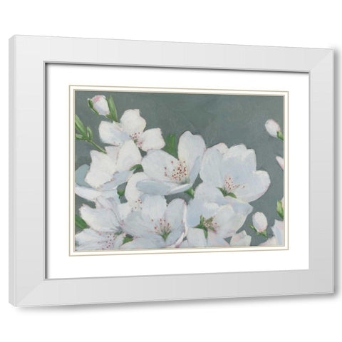 Spring Apple Blossoms White Modern Wood Framed Art Print with Double Matting by Wiens, James