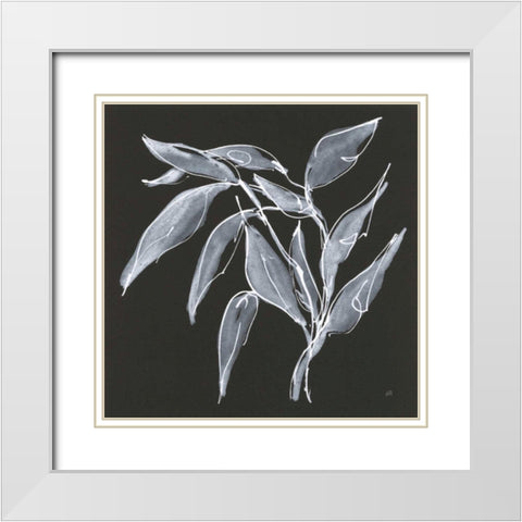 Branch II White Modern Wood Framed Art Print with Double Matting by Paschke, Chris