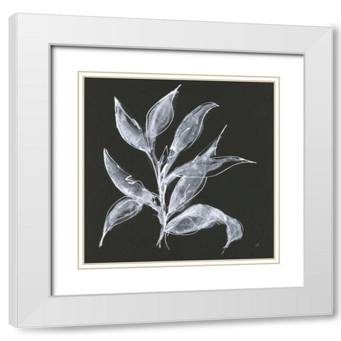 Branch III White Modern Wood Framed Art Print with Double Matting by Paschke, Chris