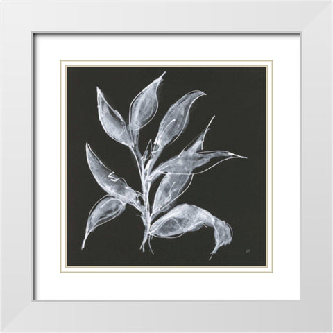 Branch III White Modern Wood Framed Art Print with Double Matting by Paschke, Chris