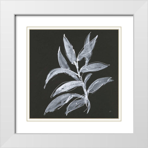 Branch IV White Modern Wood Framed Art Print with Double Matting by Paschke, Chris