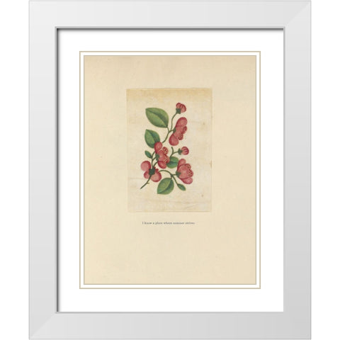 Textbook Floral White Modern Wood Framed Art Print with Double Matting by Wild Apple Portfolio