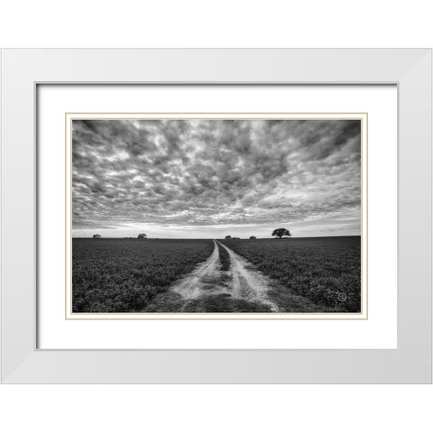 Farm Road White Modern Wood Framed Art Print with Double Matting by Larson, Nathan