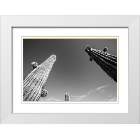 Three Kings White Modern Wood Framed Art Print with Double Matting by Larson, Nathan