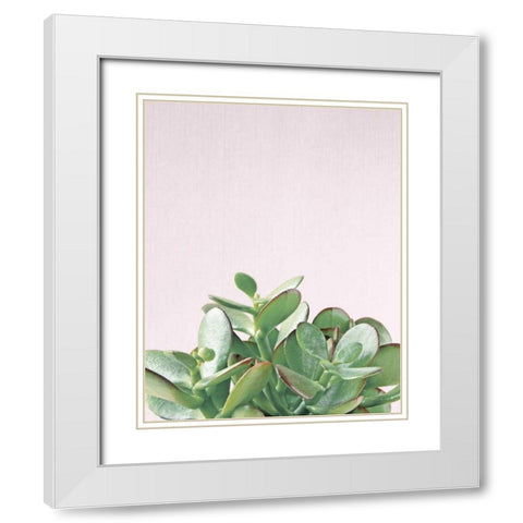 Succulent Simplicity Soft III Crop White Modern Wood Framed Art Print with Double Matting by Bradley, Felicity