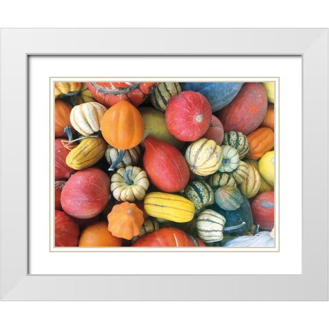 Autumn Bounty White Modern Wood Framed Art Print with Double Matting by Goldstein, Ed