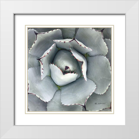 Cactus Verde I White Modern Wood Framed Art Print with Double Matting by Goldstein, Ed
