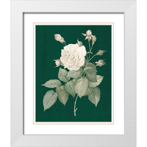 White Roses on Green I White Modern Wood Framed Art Print with Double Matting by Wild Apple Portfolio