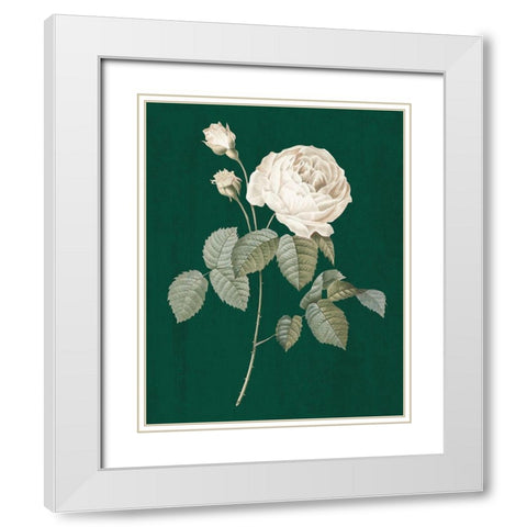 White Roses on Green II White Modern Wood Framed Art Print with Double Matting by Wild Apple Portfolio