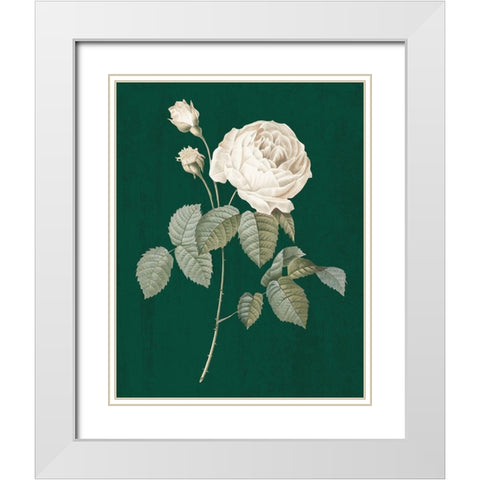 White Roses on Green II White Modern Wood Framed Art Print with Double Matting by Wild Apple Portfolio