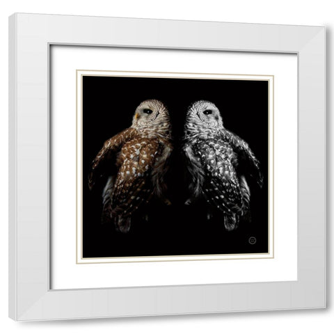 Still a Life White Modern Wood Framed Art Print with Double Matting by Larson, Nathan