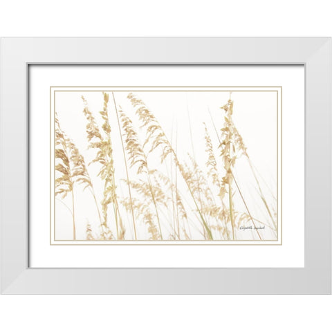 Blowing in the Wind II White Modern Wood Framed Art Print with Double Matting by Urquhart, Elizabeth
