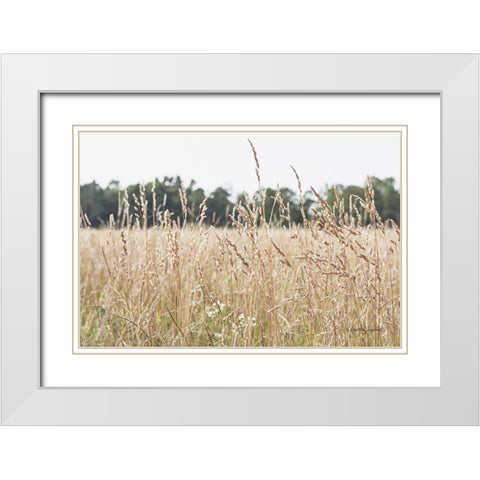 Summer Field II White Modern Wood Framed Art Print with Double Matting by Urquhart, Elizabeth