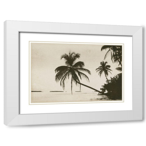 Palm Beach I White Modern Wood Framed Art Print with Double Matting by Wild Apple Portfolio