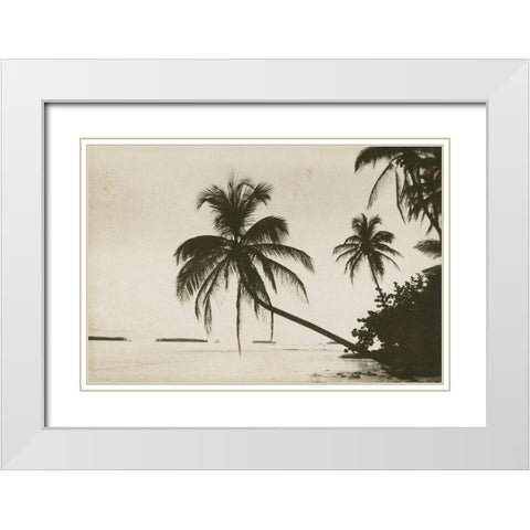 Palm Beach I White Modern Wood Framed Art Print with Double Matting by Wild Apple Portfolio