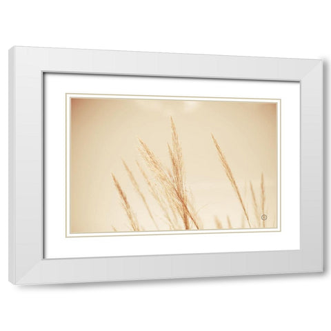 Summer Fields White Modern Wood Framed Art Print with Double Matting by Larson, Nathan