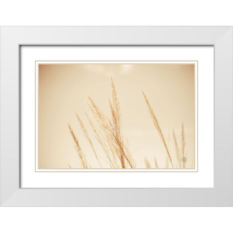 Summer Fields White Modern Wood Framed Art Print with Double Matting by Larson, Nathan