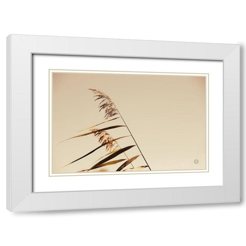 Windswept Grasses White Modern Wood Framed Art Print with Double Matting by Larson, Nathan