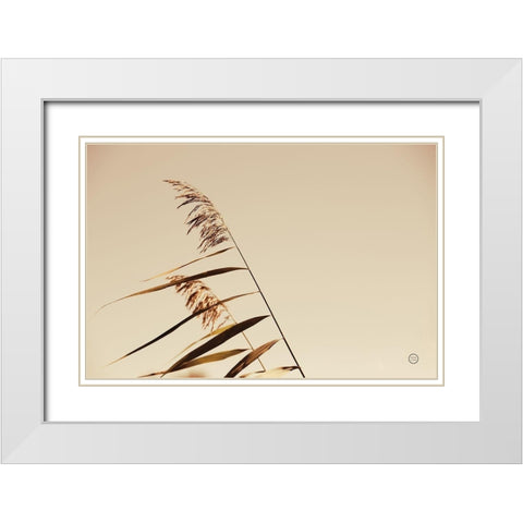 Windswept Grasses White Modern Wood Framed Art Print with Double Matting by Larson, Nathan