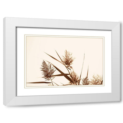 Country Grasses I White Modern Wood Framed Art Print with Double Matting by Larson, Nathan