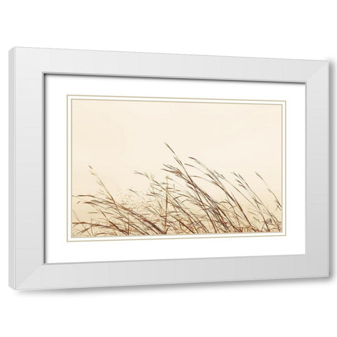 Country Grasses II White Modern Wood Framed Art Print with Double Matting by Larson, Nathan