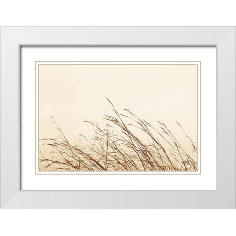 Country Grasses II White Modern Wood Framed Art Print with Double Matting by Larson, Nathan