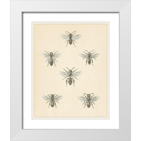 Bee Chart II White Modern Wood Framed Art Print with Double Matting by Wild Apple Portfolio
