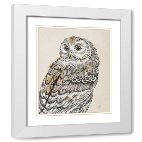 Beautiful Owls III Vintage White Modern Wood Framed Art Print with Double Matting by Brissonnet, Daphne