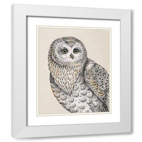 Beautiful Owls IV Vintage White Modern Wood Framed Art Print with Double Matting by Brissonnet, Daphne