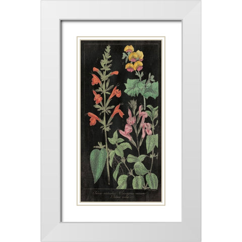 Salvia Florals I on Black White Modern Wood Framed Art Print with Double Matting by Wild Apple Portfolio