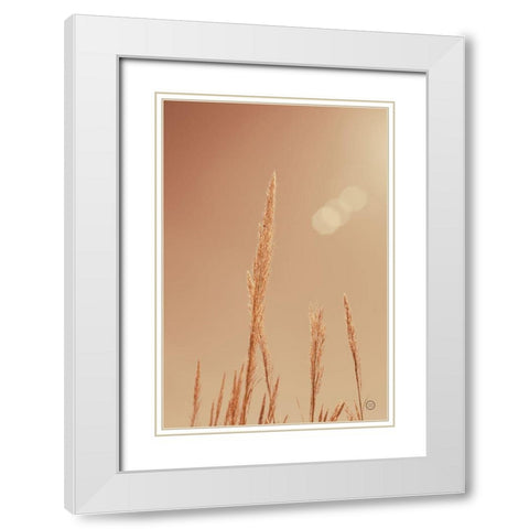 Noon Grasses I White Modern Wood Framed Art Print with Double Matting by Larson, Nathan