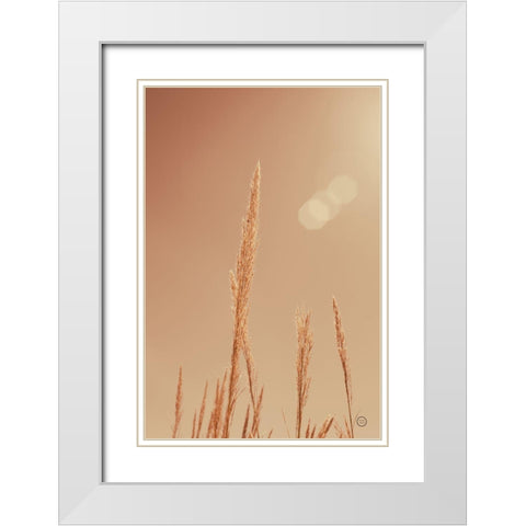 Noon Grasses I White Modern Wood Framed Art Print with Double Matting by Larson, Nathan